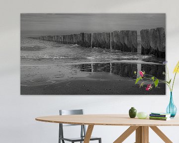 reflections ... van Eric Buyse