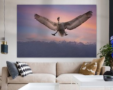 Flying Crowned Pelican by Christien Brandwijk