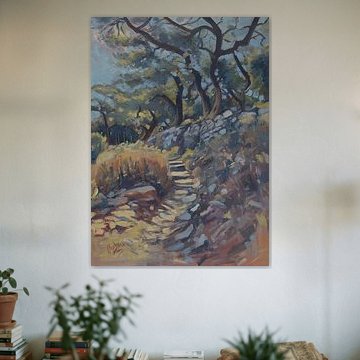 Stone path along the olive grove