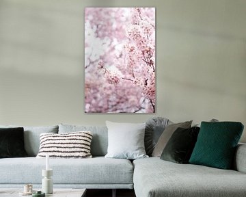 Pastell Farbe Blüte Blumen | botanische Kunst