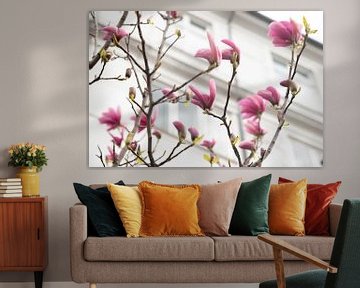 Fleur de magnolia à Copenhague | arbre à castor | couleur pastel avec rose et blanc sur Karijn | Fine art Natuur en Reis Fotografie