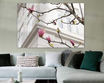 Magnolia met witte muren op achtergrond | natuur in Kopenhagen van Karijn | Fine art Natuur en Reis Fotografie