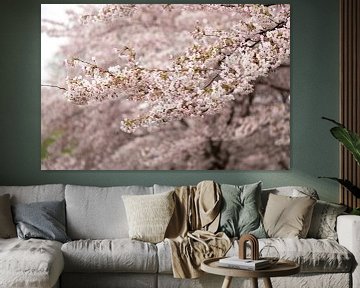 Blumen in Kopenhagen | Blossom Tree von Karijn | Fine art Natuur en Reis Fotografie