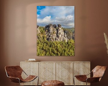 Blick auf Felsen und Bäume in der Sächsische Schweiz von Rico Ködder