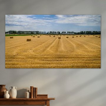 Strohballen auf dem Grundstück