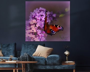 Pauw vlinder van Vera Laake