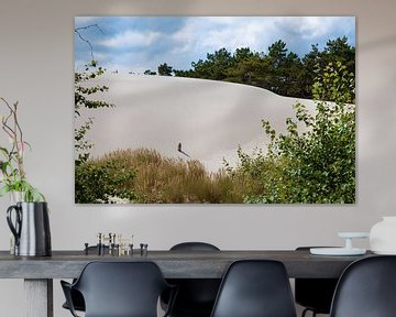 dunes blanches rares à schoorl le long de la côte néerlandaise avec un sable blanc unique