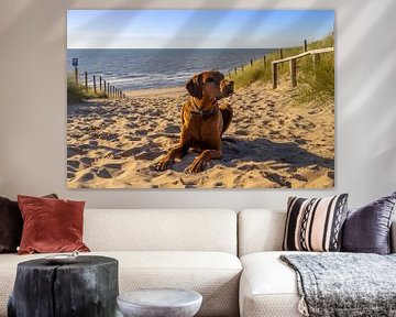 Rhodesian Ridgeback in het zand van Michael Ruland