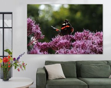 Butterfly on purple plant