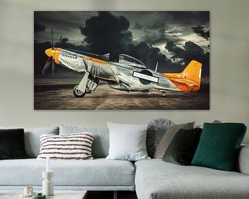 flugzeug von Frank Peters