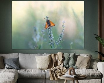 Oranje Vlinder in het veld van Mireille Breen
