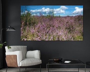 https://www.werkaandemuur.nl/nl/shopwerk/Westerheide-in-bloei/1018155