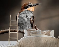Voorbeeld van het werk in een kamer