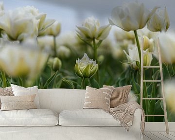 A small white tulip in the tulip field by Marjolijn van den Berg