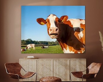Cow looks surprised (photo portrait) by Color Square