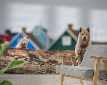 Groenlandse Honden in Qeqertarsuaq, Disko Bay van Martijn Smeets