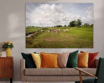 Malerische niederländische Polderlandschaft mit Kühen