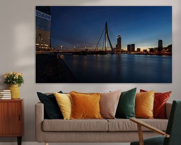 View of the Erasmus Bridge by Guido Akster