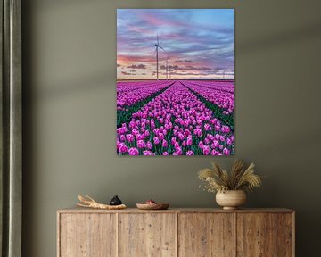 Tulpen bei Sonnenuntergang von Martijn Jacobs