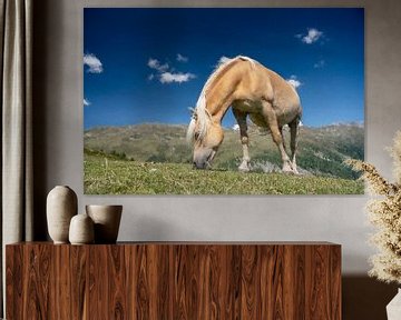 Grazend paard painting look van Marcel Kieffer