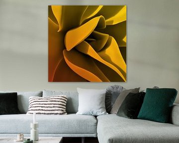 Hosta orange/jaune 2 sur Charles Mulder