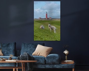 lambs at the Texel lighthouse