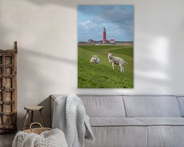 Lämmer am Leuchtturm von Texel von Texel360Fotografie Richard Heerschap