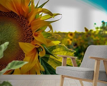 Sonnenblume von Dieren en natuur