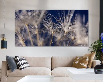 Panorama of white fluff with water droplets (blue background) by Marjolijn van den Berg