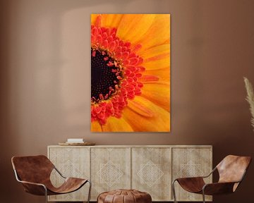 A cheerfully colorful piece of a yellow - orange Gerbera