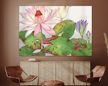 Zen - Lotus sur Gisela- Art for You