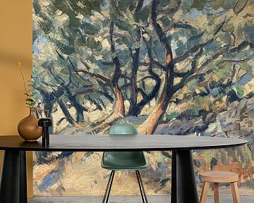 Olijfgaard met stenen muurtje