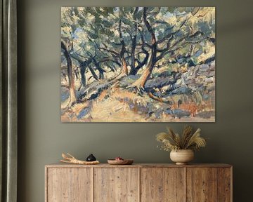 Olive grove with stone wall