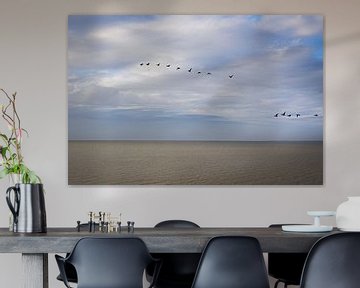 Geese migrating over the Wadden Sea by Rob Boon