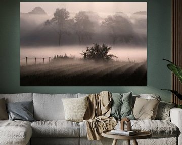 Misty morning sur Wil van der Velde