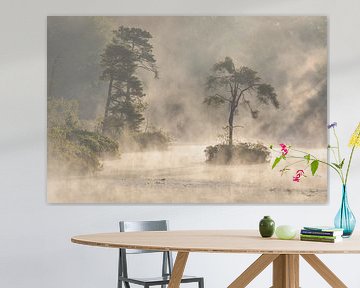 Een geluks moment met mystieke sferen in Brabant