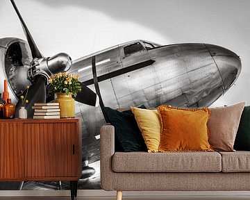 airplane by Frank Peters