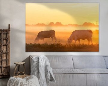 Vaches dans la brume du matin sur Ronald Buitendijk Fotografie