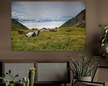 Koeien in een bergweide van Thomas Heitz