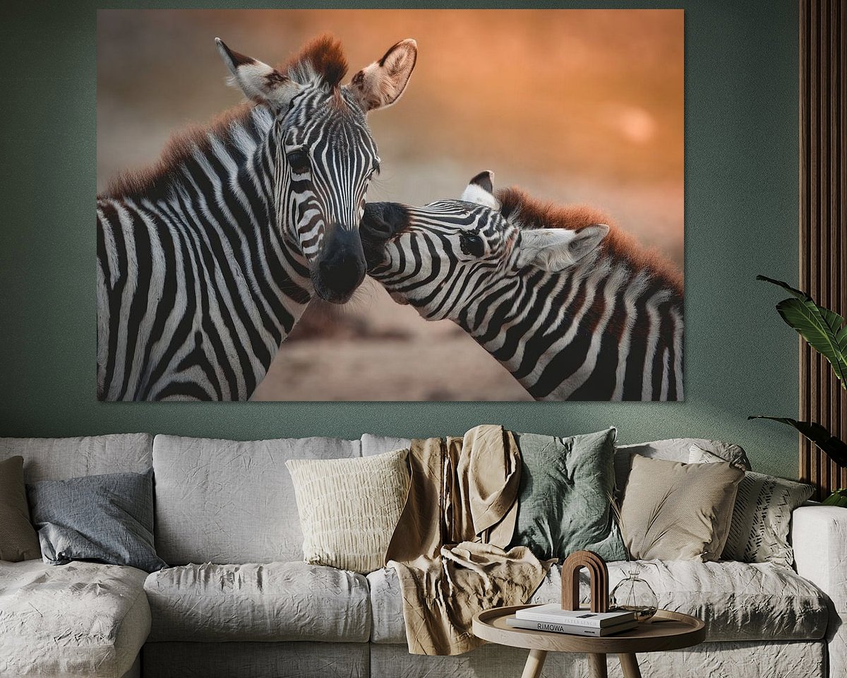 Raumvorschau