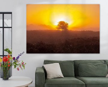 Zonsopkomst, zonsondergang, hei, mist, nevel, kleurrijk, Drenthe, Exloo, Poolshoogte, heidevelden, s van Gert Hilbink