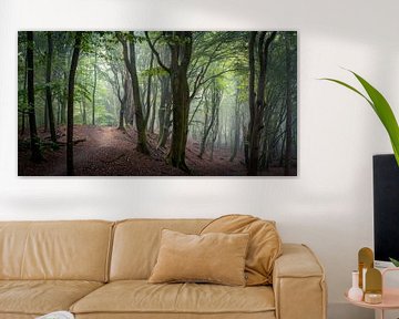 Panorama beeld van een mysterieus bos van Edwin Mooijaart