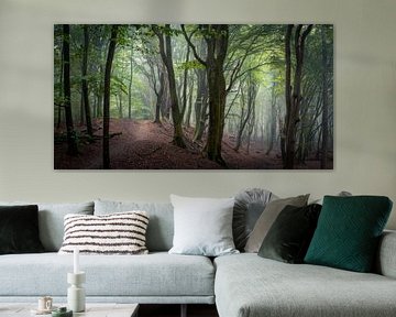 Panorama beeld van een mysterieus bos van Edwin Mooijaart