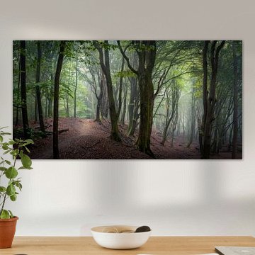 Panoramic view of a mysterious forest