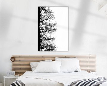 Silhouette noire et blanche de branches d'arbre