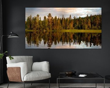 Spiegelung von Nadelbäumen in einem See in Schweden von Jan Fritz