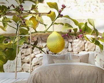 Lemon in sunny moods by Bianca ter Riet