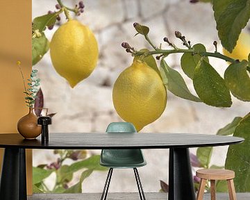 Lemons on branch by Bianca ter Riet