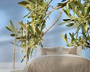 Olive buds on a branch on blue background by Bianca ter Riet