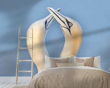 "Basstölpelpärchen" von Madleen Sophie